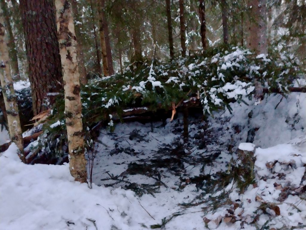 Winter shelter groepsreis Zweden